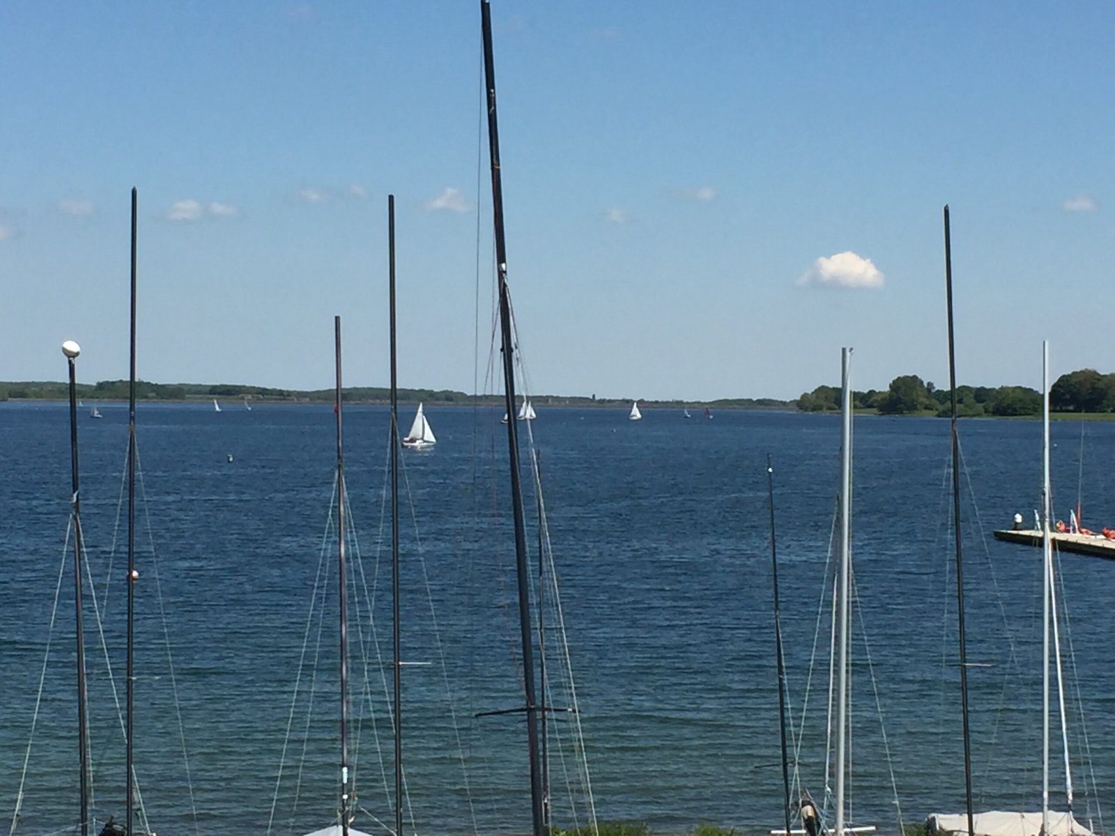 Club Sail - 2026